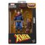 Hasbro Marvel XMen Figura 16cm Legends Series
