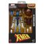Hasbro Marvel XMen Figura 16cm Legends Series
